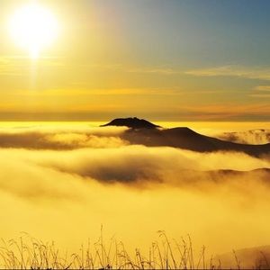 Meet your Posher, Allyson